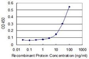 Detection limit for recombinant GST tagged RSPH1 is 3 ng/ml as a capture antibody. (RSPH1 抗体  (AA 200-309))