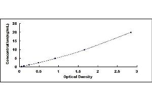 Typical standard curve (TNFAIP2 ELISA 试剂盒)