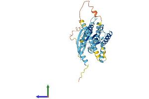 Protein Structure (PS) image for Septin 1 (SEPT1) (AA 1-366) protein (His tag) (ABIN7563240)