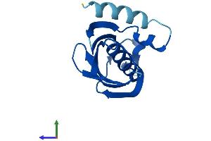 Protein Structure (PS) image for Acyl-CoA Thioesterase 13 (ACOT13) (AA 1-140) protein (His tag) (ABIN7560567)