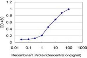 Detection limit for recombinant GST tagged CKS2 is approximately 0. (CKS2 抗体  (AA 1-79))