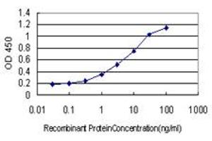 Detection limit for recombinant GST tagged HOXA7 is approximately 0. (HOXA7 抗体  (AA 58-112))