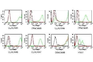 BOSC23 cells were transiently transfected with expression vectors containing either the cDNA of CEACAM1, CEACAM3-8 or PSG.