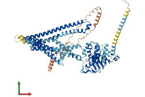 Protein Structure (PS) image for ATP-Binding Cassette, Sub-Family B (MDR/TAP), Member 7 (ABCB7) (AA 1-752) protein (His tag) (ABIN7557664)