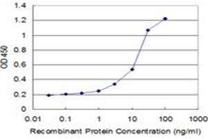 Detection limit for recombinant GST tagged ASPH is approximately 1ng/ml as a capture antibody. (Aspartate beta Hydroxylase 抗体  (AA 161-270))