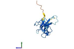 Protein Structure (PS) image for Polymerase (RNA) II (DNA Directed) Polypeptide I, 14.5kDa (POLR2I) (AA 1-125) protein (His tag) (ABIN7556567)