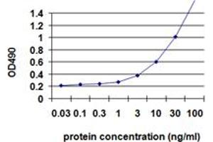 Sandwich ELISA detection sensitivity ranging from 1 ng/mL to 100 ng/mL. (IL1B (人) Matched Antibody Pair)