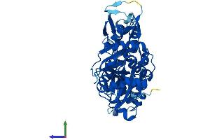 Protein Structure (PS) image for Actin-Related Protein 2 (ACTR2) (AA 1-394) protein (His tag) (ABIN7556571)