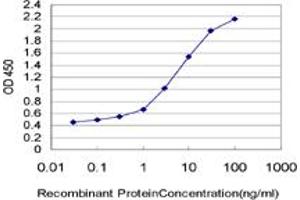 Detection limit for recombinant GST tagged FGL1 is approximately 0. (FGL1 抗体  (AA 19-312))