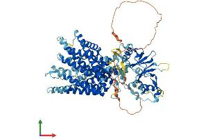AlphaFold protein structure predicition of Human Recombinant CLCN7 Protein, UniprotID P51798 (CLCN7 Protein (AA 1-805) (His tag))