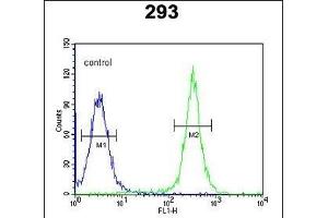 GSD Antibody (N-term) (ABIN651081 and ABIN2840063) flow cytometric analysis of 293 cells (right histogram) compared to a negative control cell (left histogram). (Gasdermin A 抗体  (N-Term))