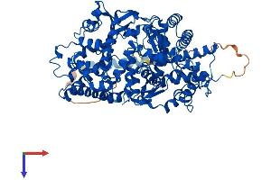 AlphaFold protein structure predicition of Human Recombinant MMEL1 Protein, UniprotID Q495T6