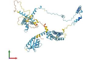 Protein Structure (PS) image for General Transcription Factor IIH, Polypeptide 1, 62kDa (GTF2H1) (AA 1-548) protein (His tag) (ABIN7544399)