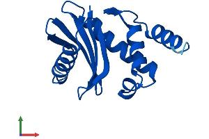 Protein Structure (PS) image for Adaptor-Related Protein Complex 2, sigma 1 Subunit (AP2S1) (AA 1-142) protein (His tag) (ABIN7552095)