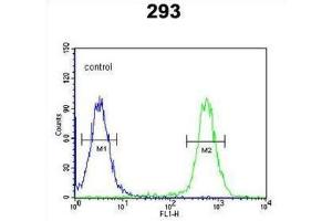 Flow Cytometry (FACS) image for anti-Chondroitin Sulfate N-Acetylgalactosaminyltransferase 2 (CSGALNACT2) antibody (ABIN3003905) (CSGALNACT2 抗体)