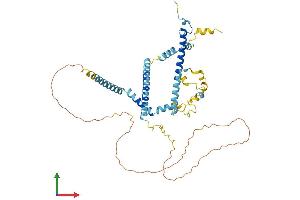 Protein Structure (PS) image for CWC25 Spliceosome-Associated Protein Homolog (CWC25) (AA 1-425) protein (His tag) (ABIN7546938)