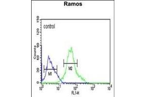 GBAS Antibody (Center) (ABIN652238 and ABIN2840994) flow cytometric analysis of Ramos cells (right histogram) compared to a negative control cell (left histogram). (GBAS 抗体  (AA 130-159))