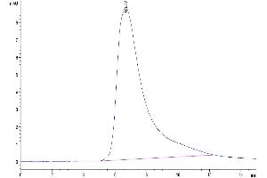 Size-exclusion chromatography-High Pressure Liquid Chromatography (SEC-HPLC) image for C-Type Lectin Domain Family 12, Member A (CLEC12A) (AA 65-265) protein (Fc Tag) (ABIN7274353)