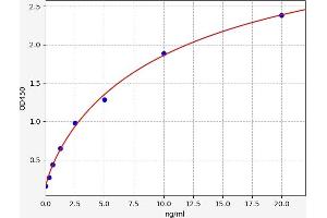 Typical standard curve (APEX1 ELISA 试剂盒)
