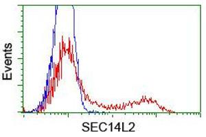 Image no. 3 for anti-SEC14-Like 2 (SEC14L2) antibody (ABIN1500852) (SEC14L2 抗体)