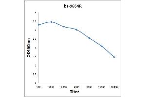 Antigen: 2 µg/100 µL  Primary: Antiserum, 1:500, 1:1000, 1:2000, 1:4000, 1:8000, 1:16000, 1:32000;  Secondary: HRP conjugated Rabbit Anti-Goat IgG at 1: 5000;  TMB staining Read the data in Microplate Reader by 450nm. (14-3-3 Pan 抗体)