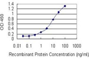 Detection limit for recombinant GST tagged GLRX5 is 0. (GLRX5 抗体  (AA 1-157))