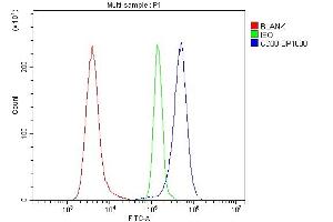Flow Cytometry analysis of Raji cells using anti-CD38 antibody (ABIN7602815).