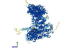 Protein Structure (PS) image for Exportin 1 (XPO1) (AA 1-1071) protein (His tag) (ABIN7556038)