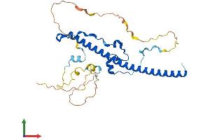 Protein Structure (PS) image for Hepatic Leukemia Factor (HLF) (AA 1-295) protein (His tag) (ABIN7558951)