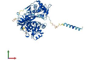 Protein Structure (PS) image for Glycerol Kinase (GK) (AA 1-559) protein (His tag) (ABIN7547968)