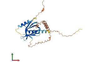 AlphaFold protein structure predicition of Human Recombinant PID1 Protein, UniprotID Q7Z2X4