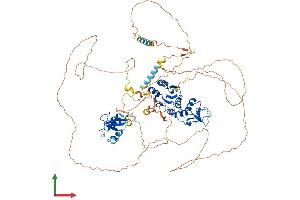 Protein Structure (PS) image for Microcephalin 1 (MCPH1) (AA 1-835) protein (His tag) (ABIN7554506)
