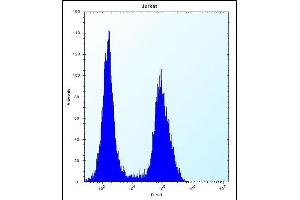 PRSS7 Antibody (C-term ) (ABIN656189 and ABIN2845515) flow cytometric analysis of Jurkat cells (right histogram) compared to a negative control cell (left histogram). (TMPRSS15 抗体  (C-Term))