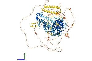 Protein Structure (PS) image for SEC23 Interacting Protein (SEC23IP) (AA 1-998) protein (His tag) (ABIN7564069)