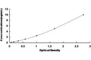Typical standard curve (DPAGT1 ELISA 试剂盒)