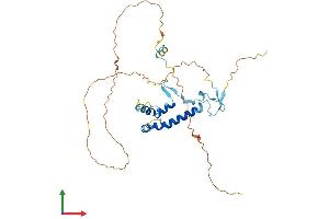 AlphaFold protein structure predicition of Human Recombinant SPRY1 Protein, UniprotID O43609