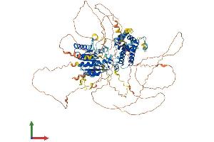 Protein Structure (PS) image for KAT8 Regulatory NSL Complex Subunit 3 (KANSL3) (AA 1-904) protein (His tag) (ABIN7554318)