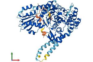 Protein Structure (PS) image for Syntaxin Binding Protein 3 (STXBP3) (AA 1-592) protein (His tag) (ABIN7546484)