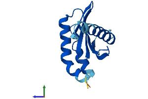 Protein Structure (PS) image for Late Endosomal/lysosomal Adaptor, MAPK and mTOR Activator 2 (LAMTOR2) (AA 1-125) protein (His tag) (ABIN7561517)
