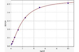 Typical standard curve (CCKAR ELISA 试剂盒)