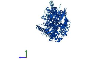 AlphaFold protein structure predicition of Mouse Recombinant Alox12 Protein, UniprotID P39655 (ALOX12 Protein (AA 1-663) (His tag))