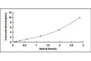 ELISA image for Interleukin 1 Receptor, Type II (IL1R2) ELISA Kit (ABIN414879)