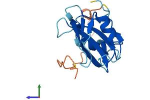 AlphaFold protein structure predicition of Mouse Recombinant Sh2d1b2 Protein, UniprotID Q45HK4