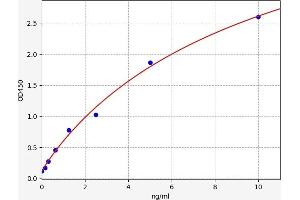alpha Hemoglobin Stabilizing Protein (aHSP) ELISA Kit