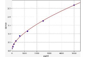 Sclerostin Domain Containing 1 (SOSTDC1) ELISA Kit