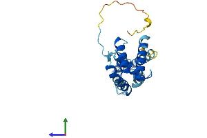 Protein Structure (PS) image for Transcription Elongation Factor A (SII) N-Terminal and Central Domain Containing 2 (TCEANC2) (AA 1-208) protein (His tag) (ABIN7544428)