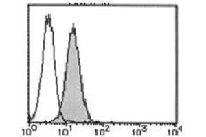 Flow Cytometry (FACS) image for anti-Bone Marrow Stromal Cell Antigen 1 (BST1) antibody (FITC) (ABIN1105912) (BST1 抗体  (FITC))