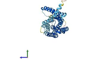 Protein Structure (PS) image for Olfactory Receptor, Family 8, Subfamily D, Member 2 (OR8D2) (AA 1-311) protein (His tag) (ABIN7550468)