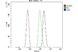 Flow Cytometry analysis of HL-60 cells using anti-UNG antibody (ABIN7602695). (UNG 抗体  (AA 96-313))