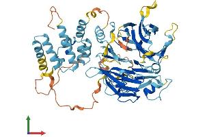 AlphaFold protein structure predicition of Mouse Recombinant Fbxo24 Protein, UniprotID Q9D417